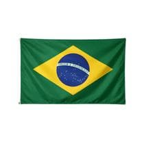 Bandeira Do Brasil Tecido Poliéster 90x130cm Copa do Mundo - Pica-Pau