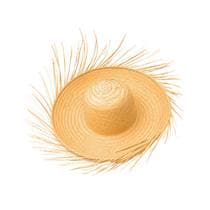 Chapéu De Palha Desfiado Para Festa Junina Caipira Premium - NoBrand