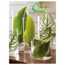 Vaso Cilindro 14x20 Decoração Tubo de Vidro Luxo Decorativo Sala Festas Mesas Casamento - Inspira Flora